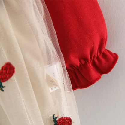 Lawadka 6M-3T Spring Newborn Baby Dresses.